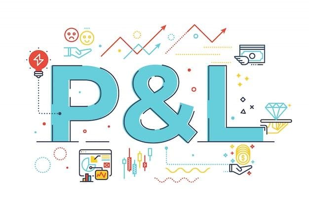 Profit & Loss Statement